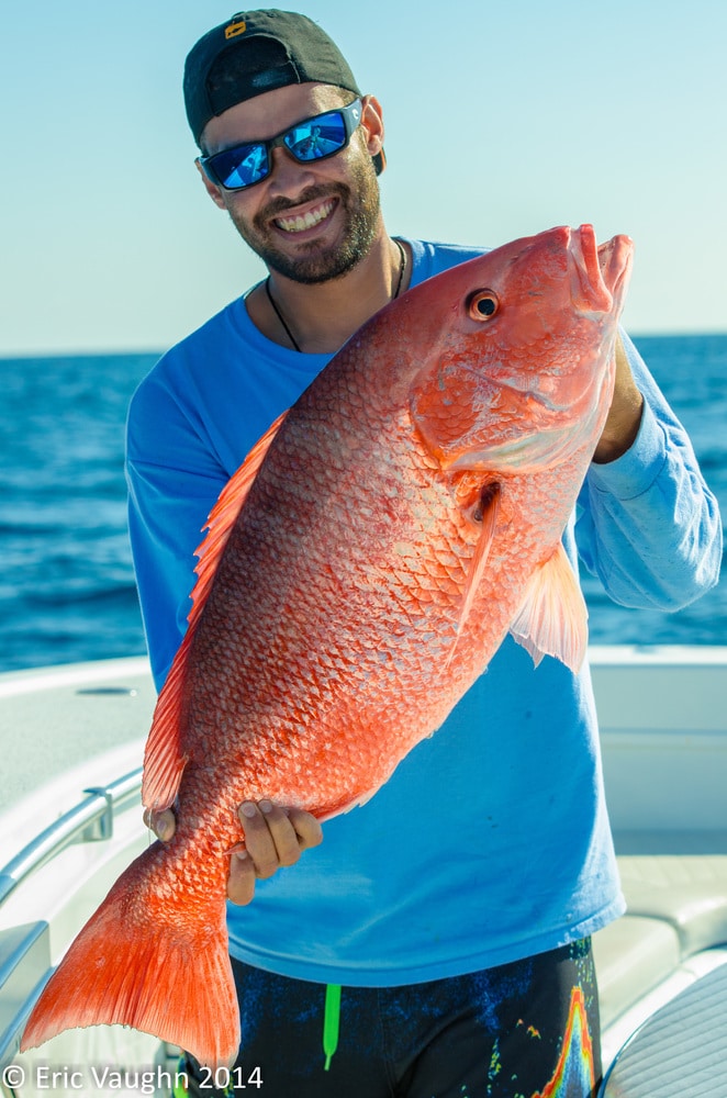 Florida Red Snapper