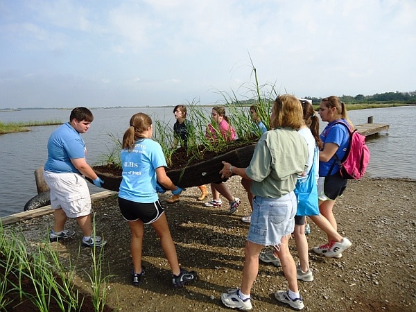 young volunteers