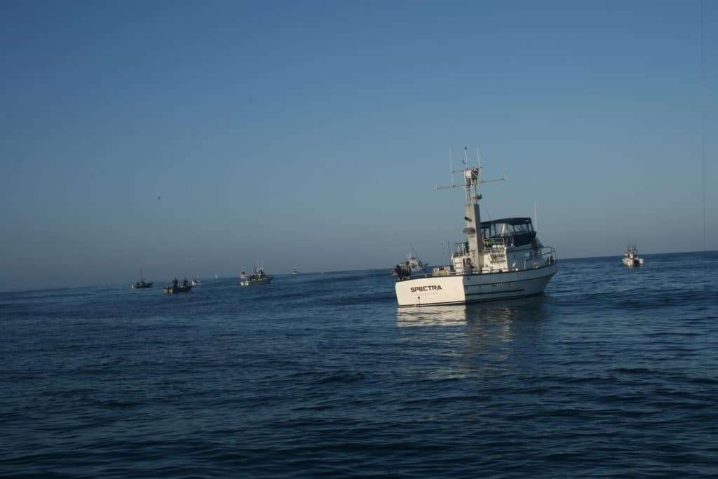 Anchor Watch at Night