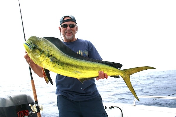 Dorado Fishing Kicks into High Gear