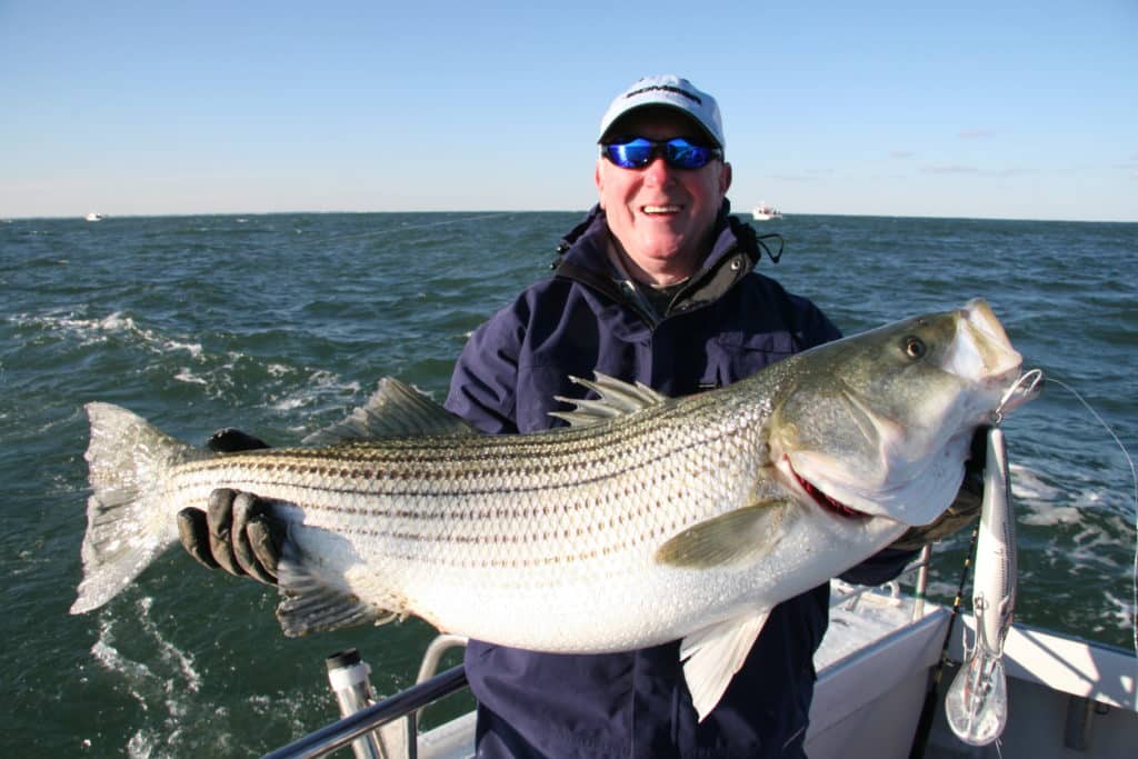 mp striper