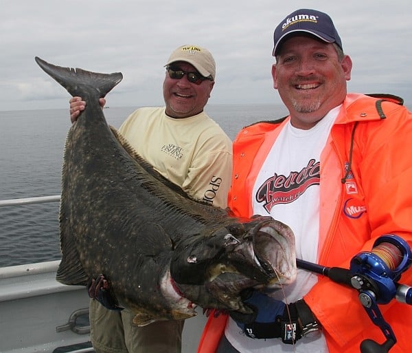 Pacific halibut: A recreational-fishery mainstay