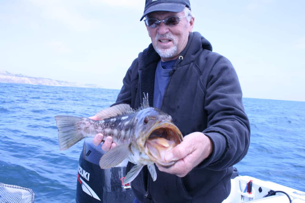 Big calico bass are biting full speed off Southern California