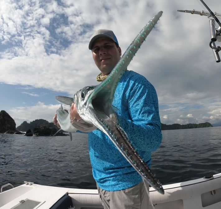 Houndfish with open mouth