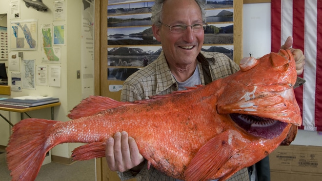 200-Year-Old Rockfish Landed in Alaska