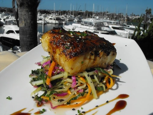 Red Miso Grouper
