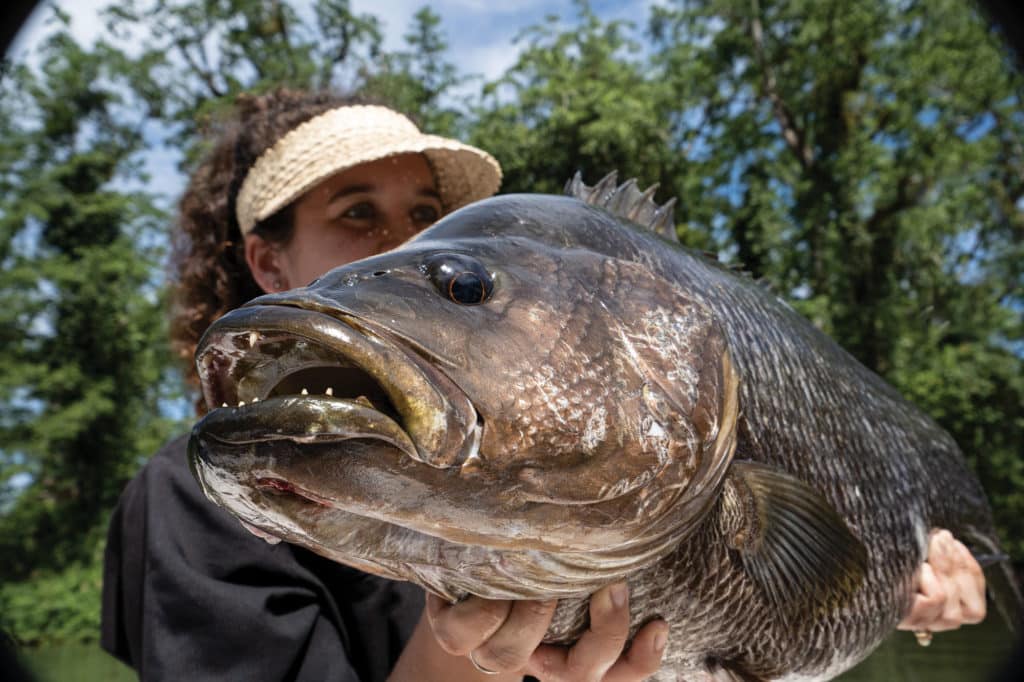 Fishing Remote New Guinea for Legendary River Snapper