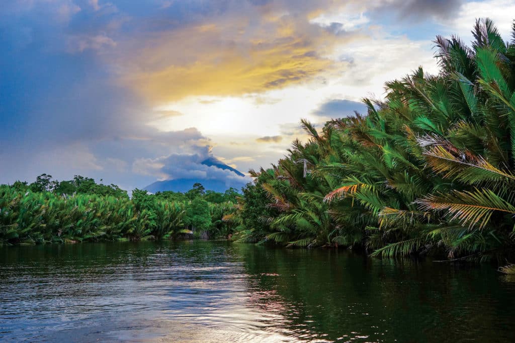 Papua New Guinea river