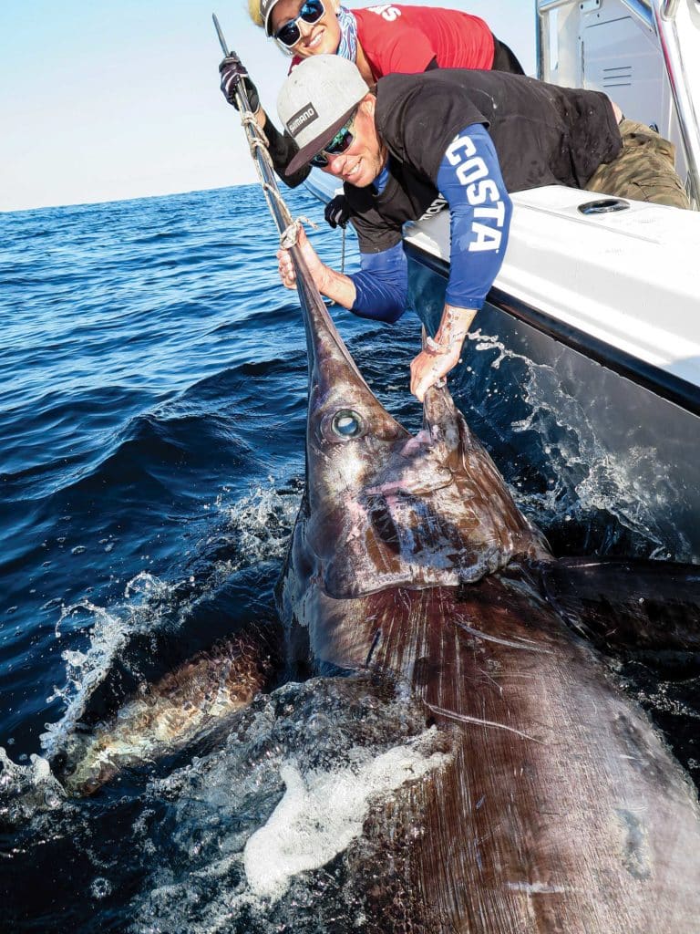 Large swordfish caught in Australia