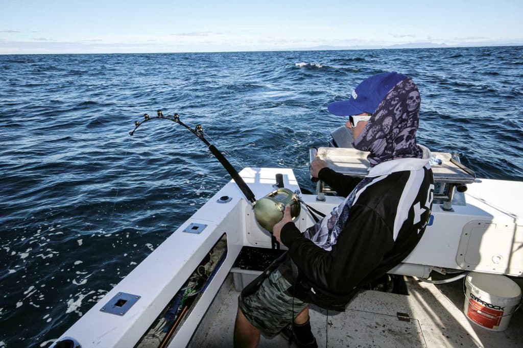 Swordfish on the line