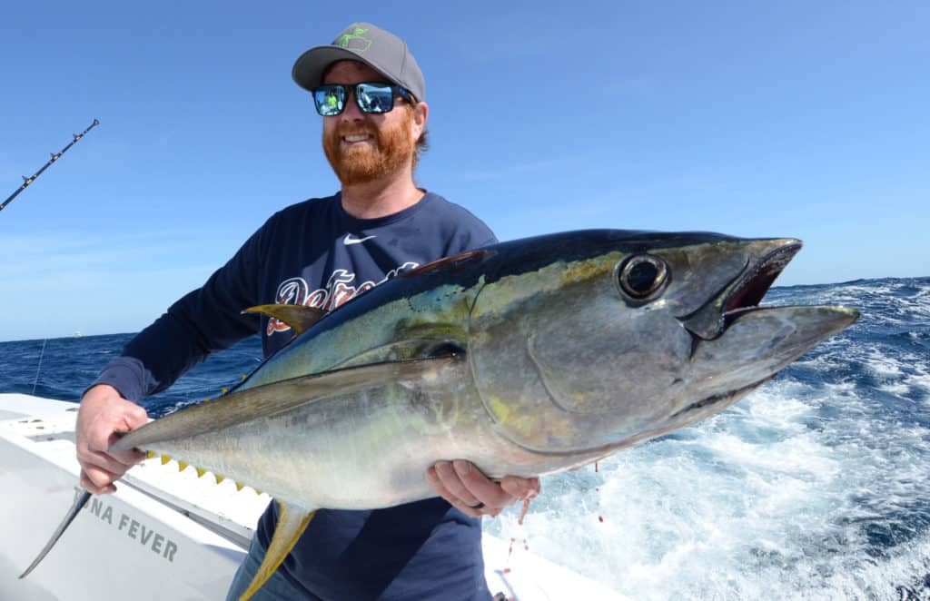 Large yellowfin tuna held up for the camera