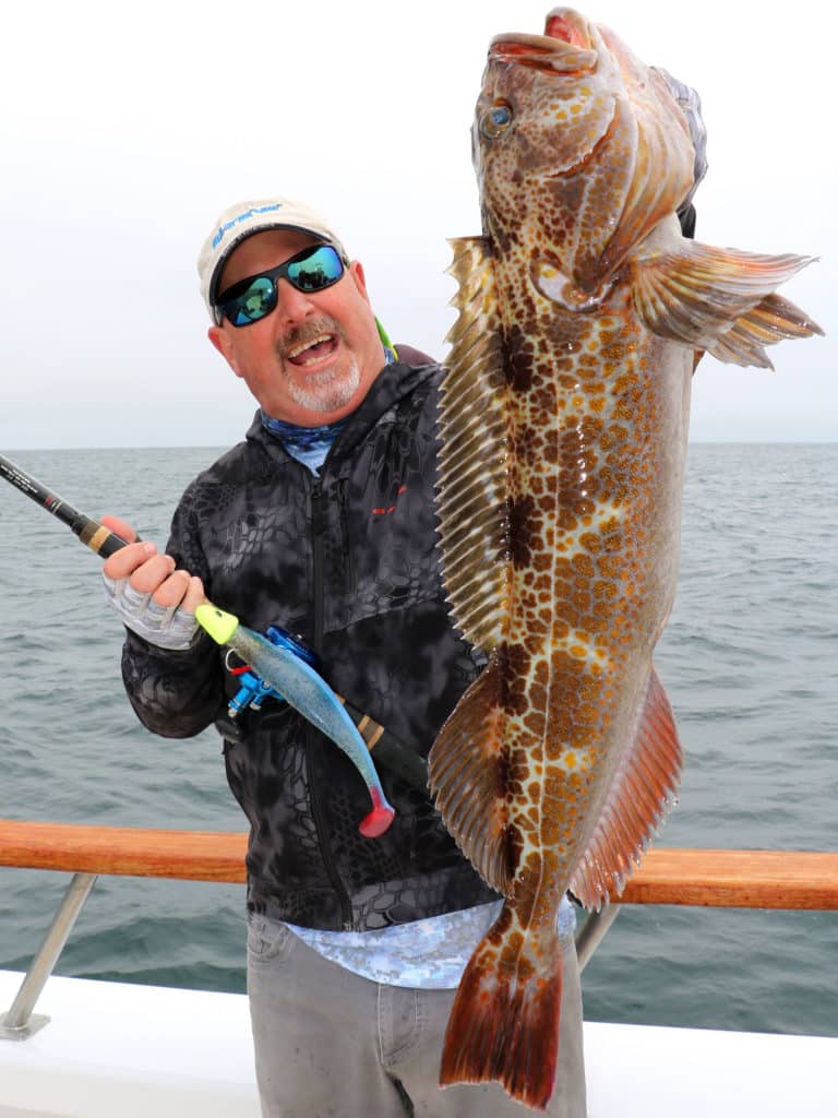 Lingcod caught using a paddletail soft-plastic lure