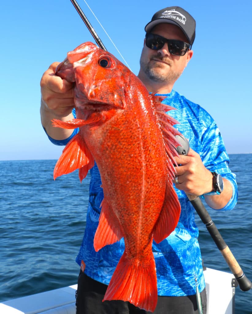 Rockfish caught using light tackle