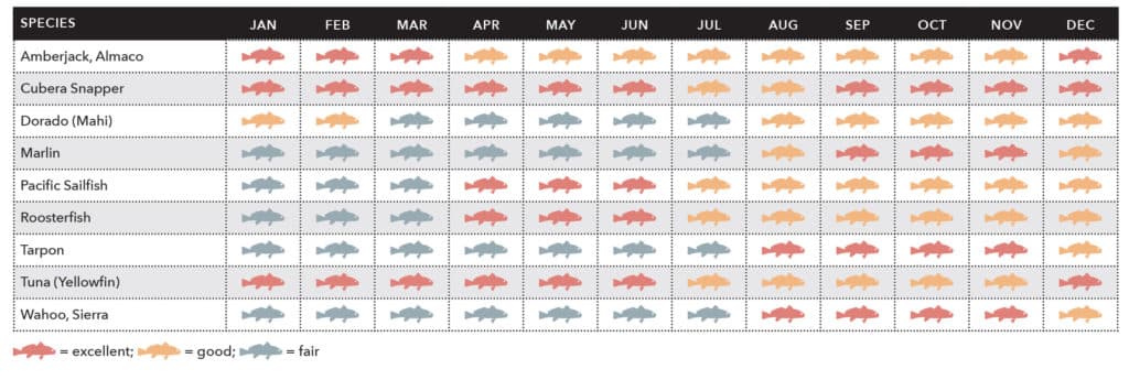 Fish species along the Pacific Coast of Colombia