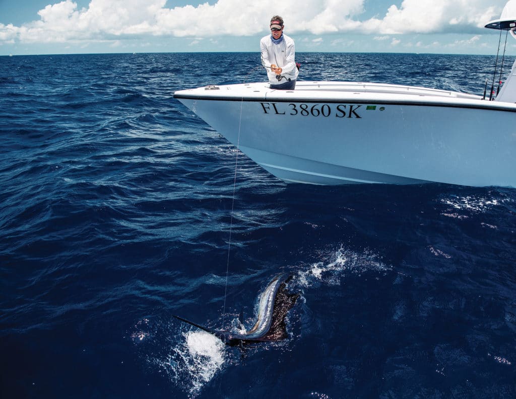 Sailfish caught on pitch bait