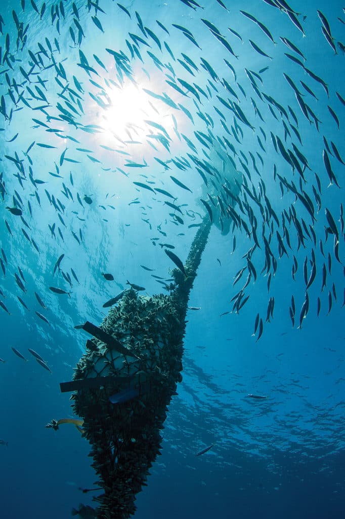 Fish-aggregating device in Costa Rica