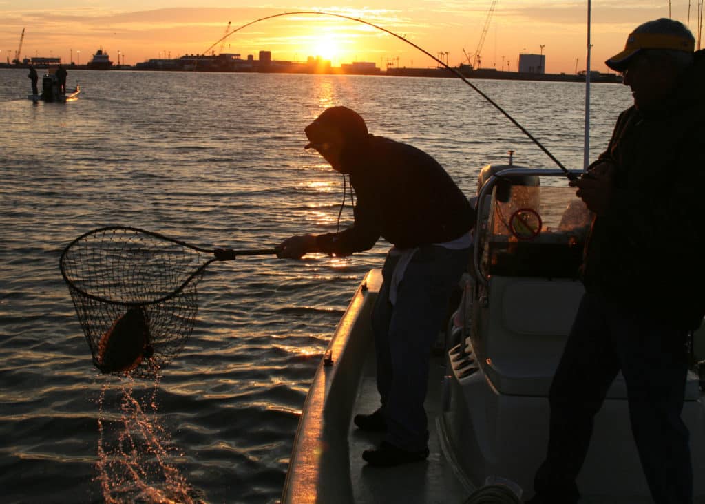 Catching flounder using light-tackle spinning outfits