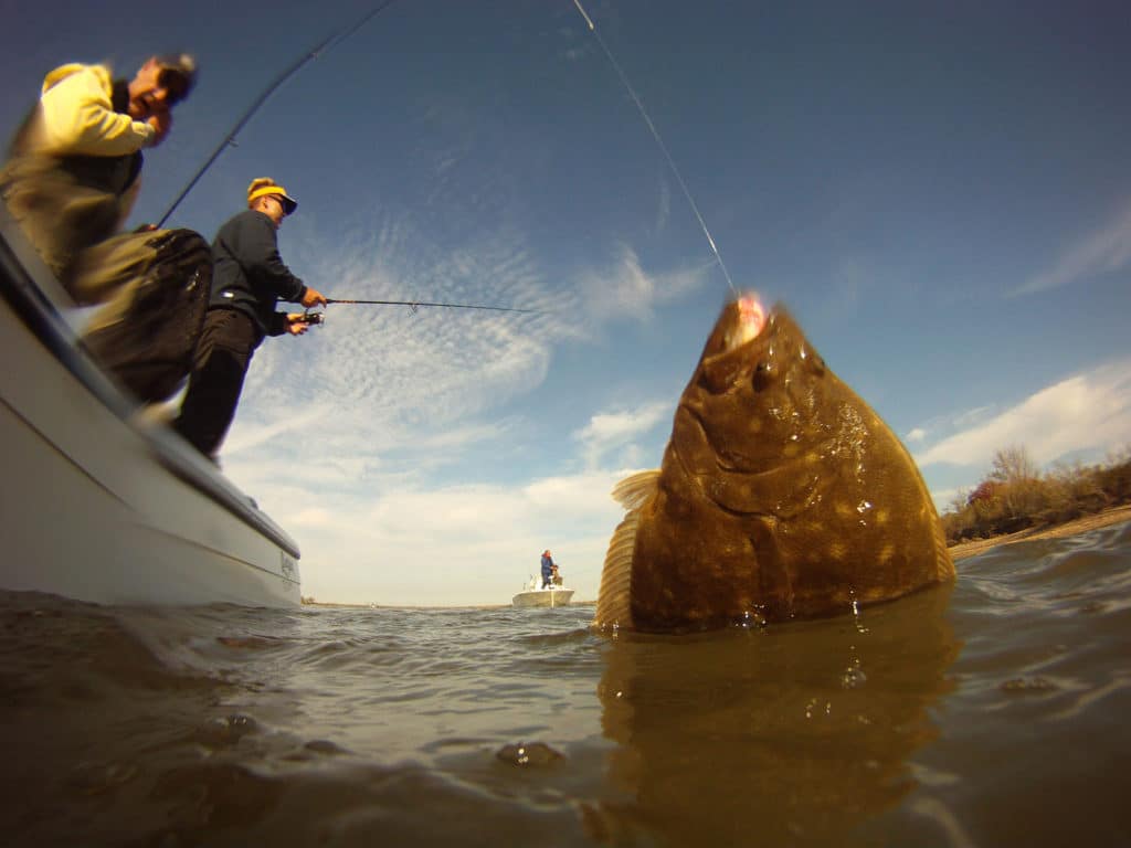 Catching flounder using menhaden