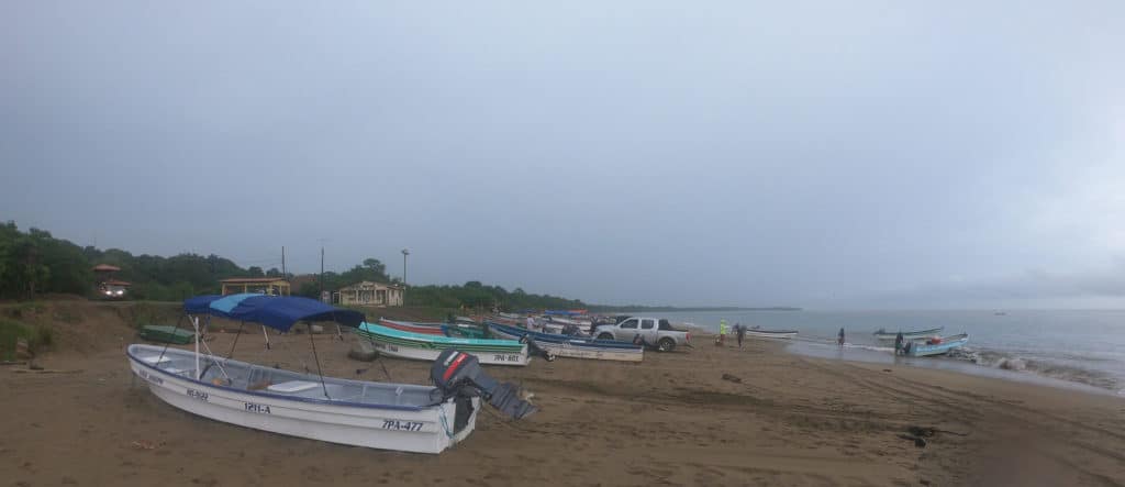 Pangas on the beach in Pedasi