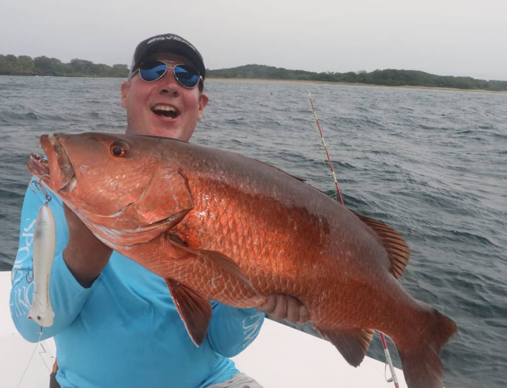 Catching a large cubera snapper