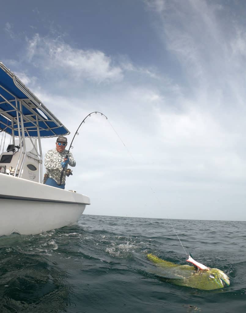 Mahi caught in Pedasi