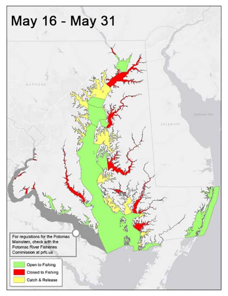 Chesapeake’s fishing-zone map