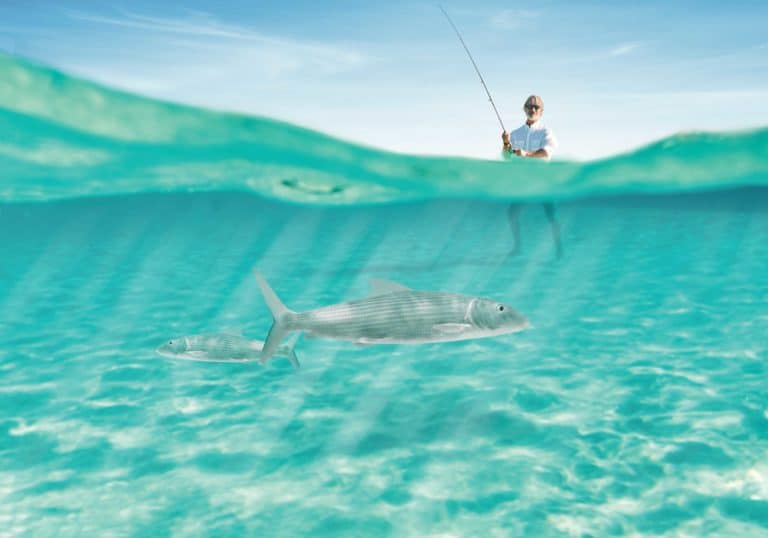 Fishing for bonefish in Bimini