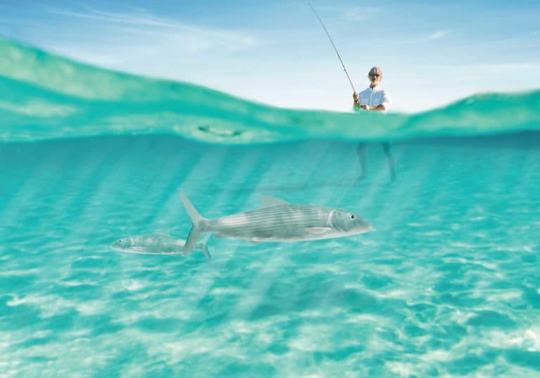 Fishing for bonefish in Bimini