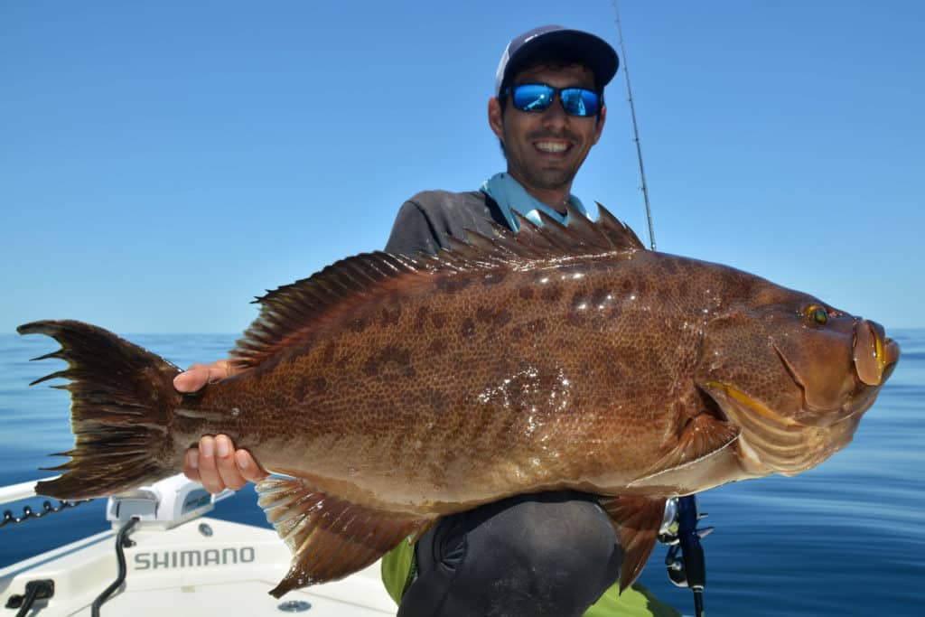 Big scamp caught using a jig