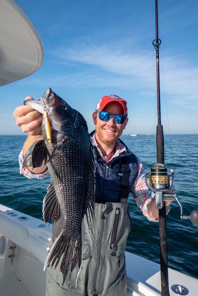 Striped bass caught on a Regulator 28