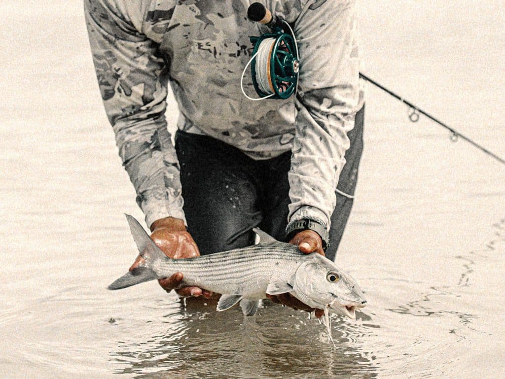 Angler holding a bonefish