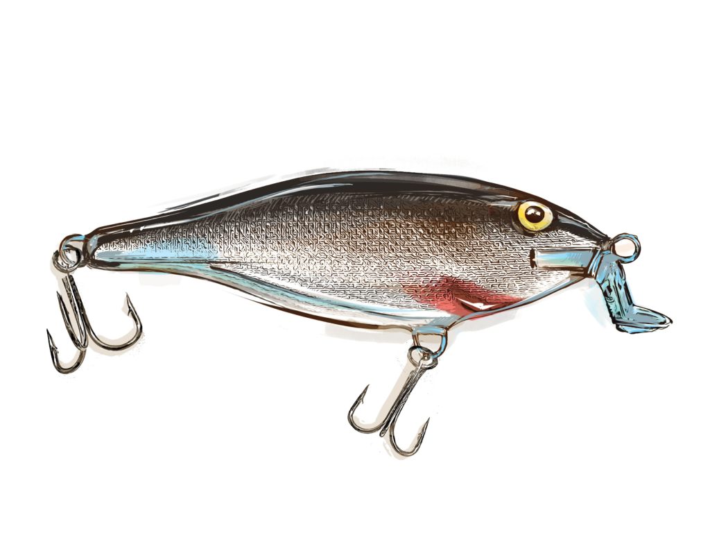 A lipped plug is perfect for targeting inshore fish