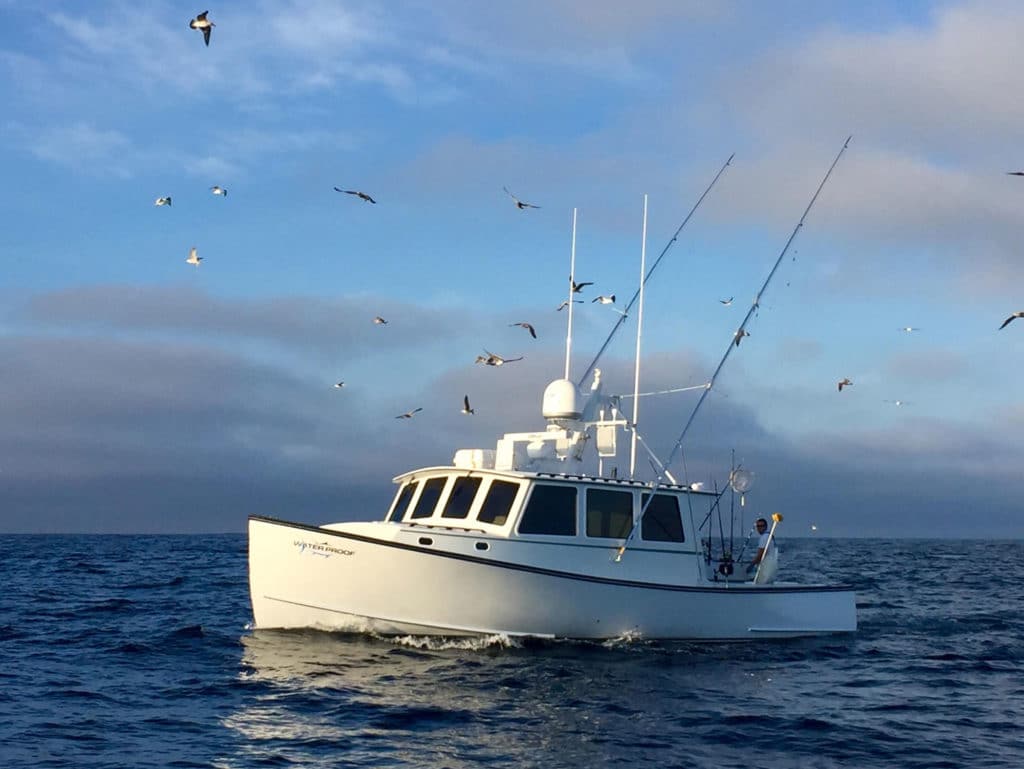 42-foot Northern Bay fishing offshore