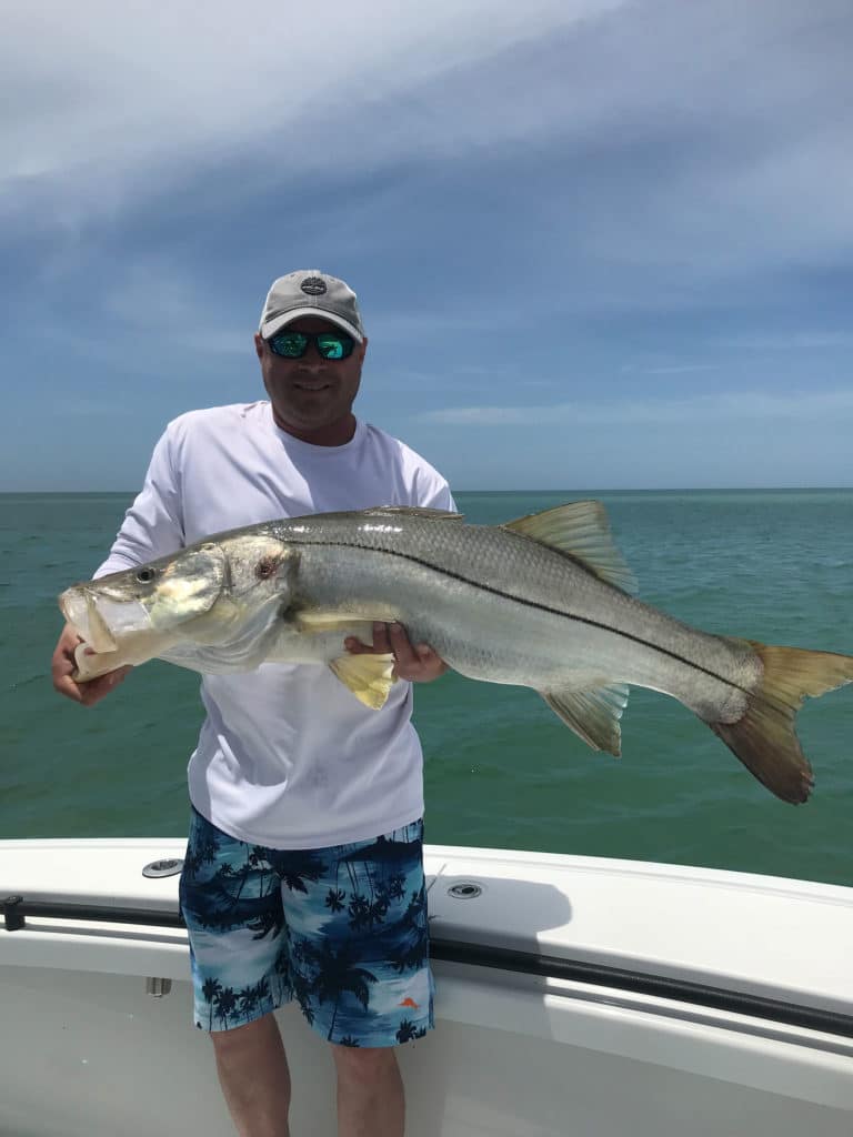 Large snook caught in southwest Florida