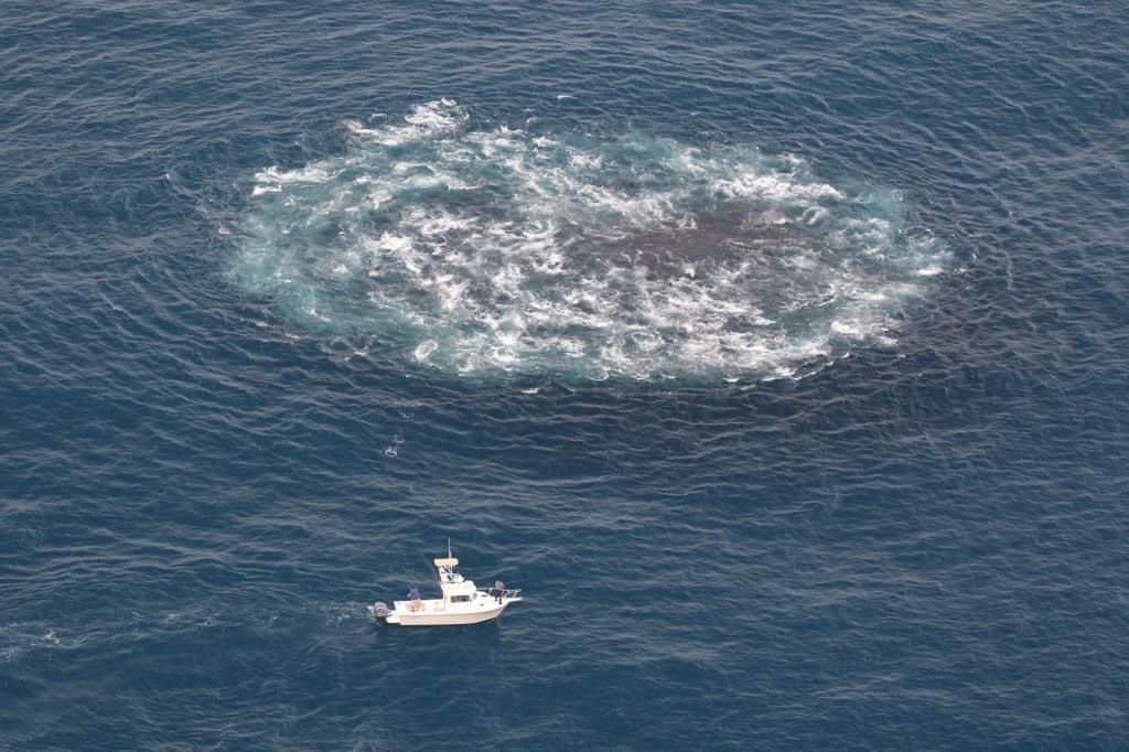 Large school of bluefin