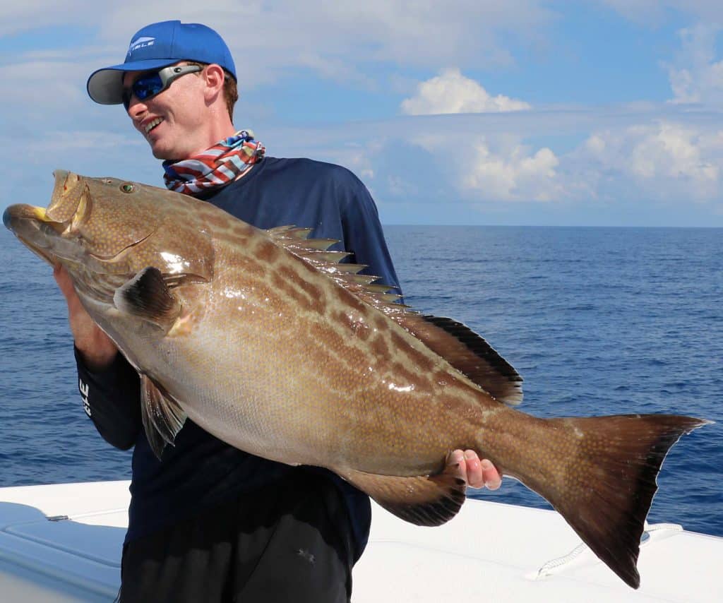 Black grouper caught in South Florida