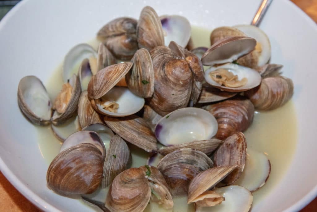 Clams from Cedar Key