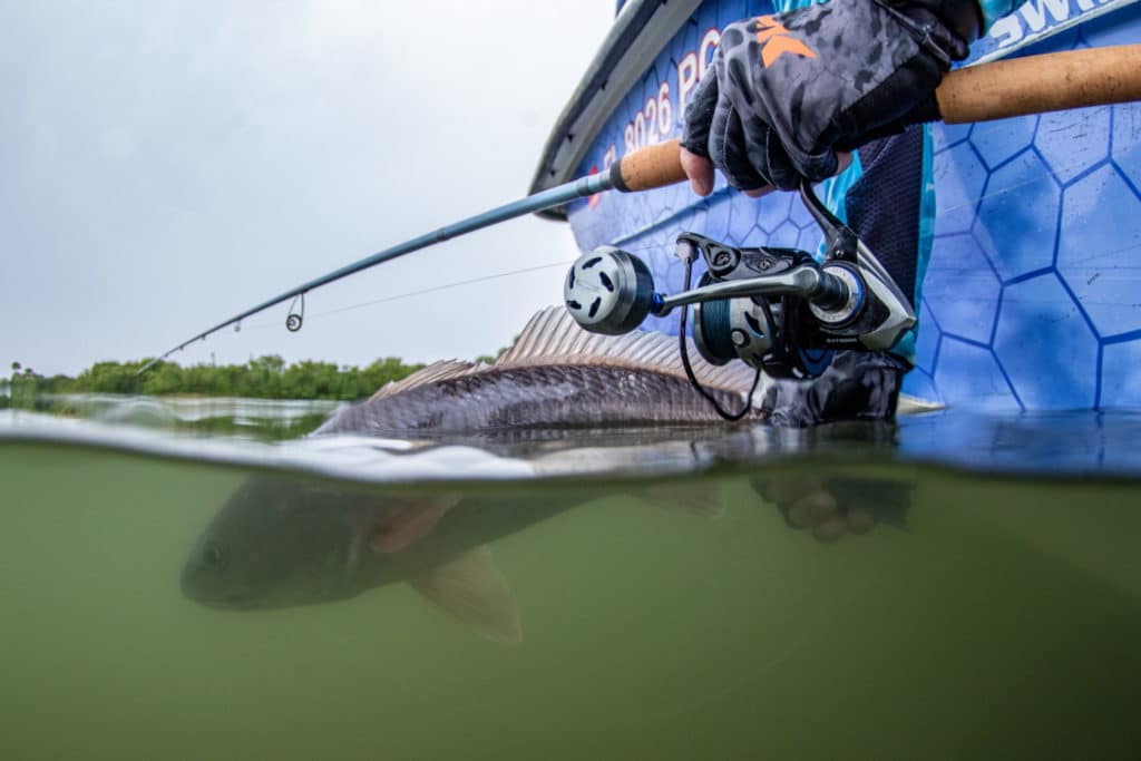 Releasing a redfish