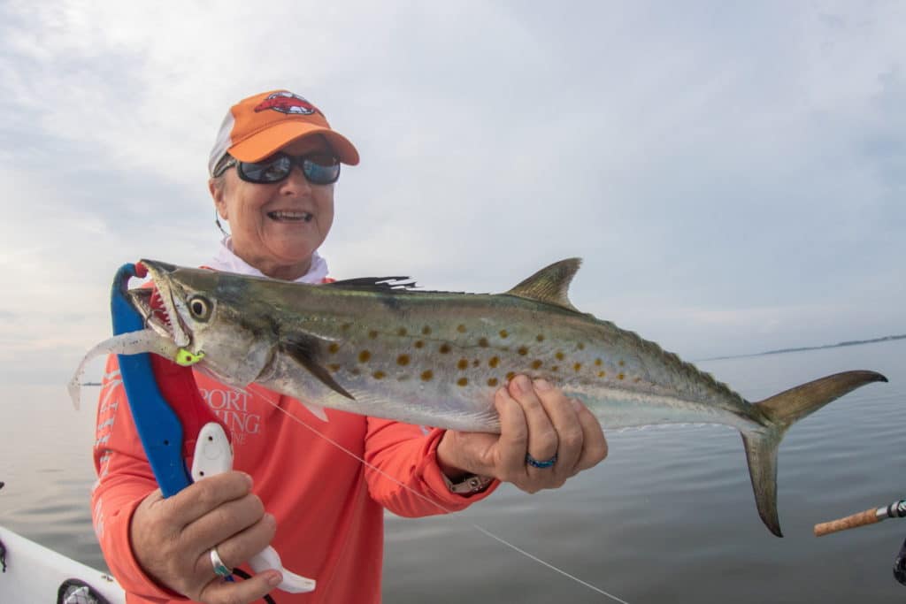 Spanish mackerel caught in Cedar Key
