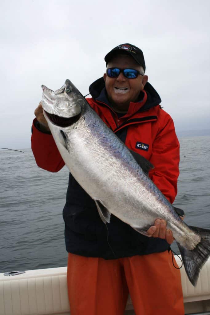 Flooded Rice Fields Produce Fat California Salmon