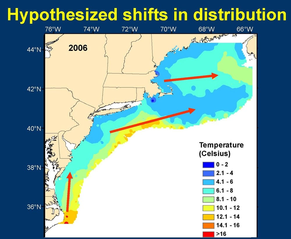 fish movements