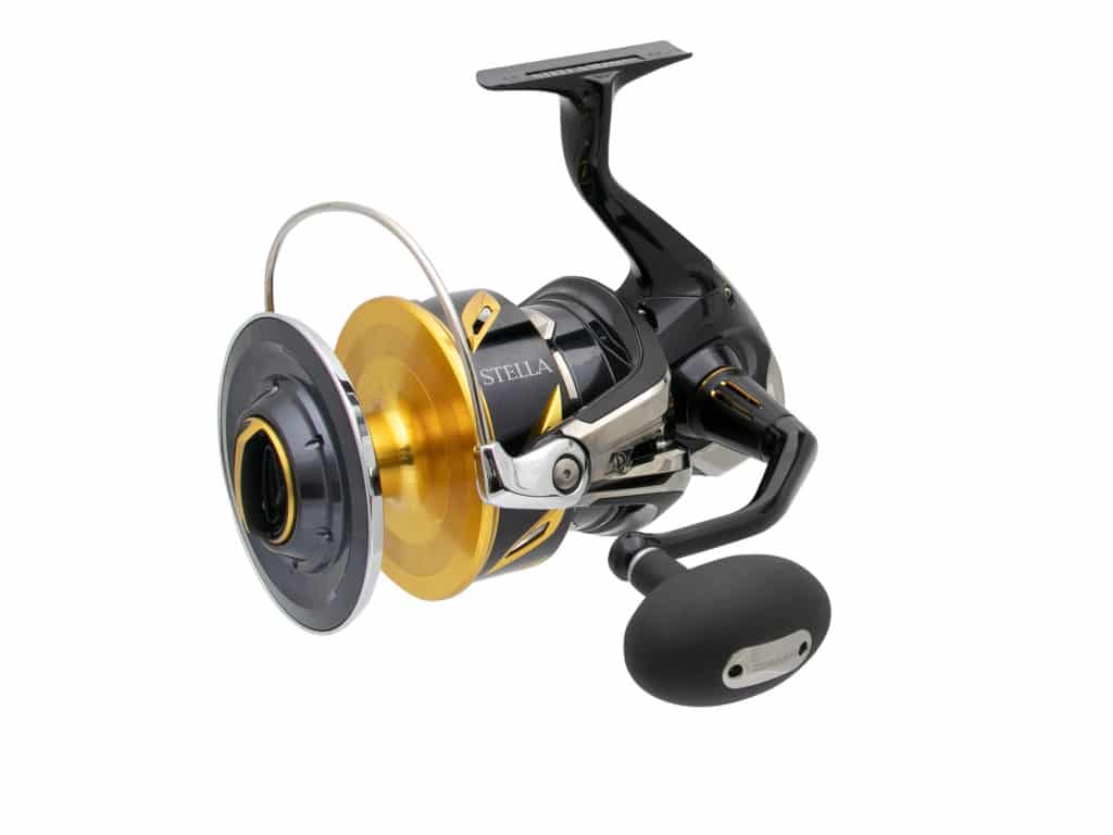 Best Saltwater Spinning Reels for Inshore & Offshore Fishing