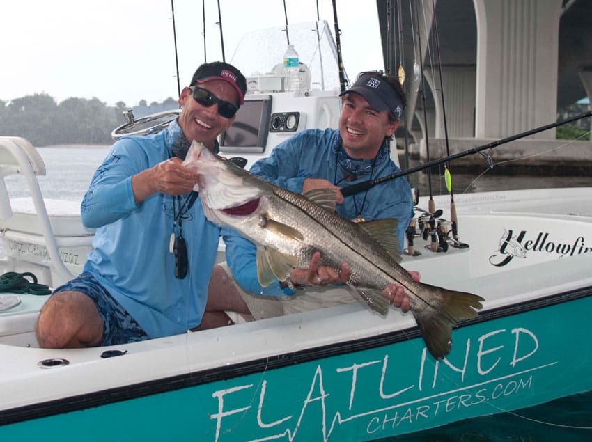 snook fishing blog