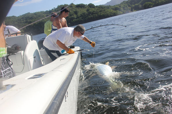 Record Tarpon