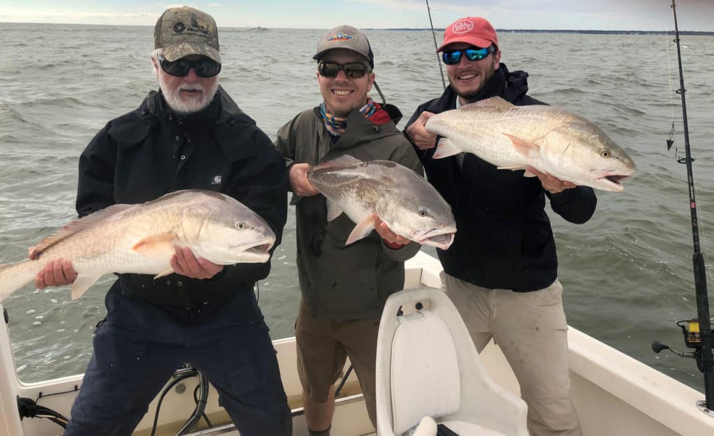 Three large redfish on a boat