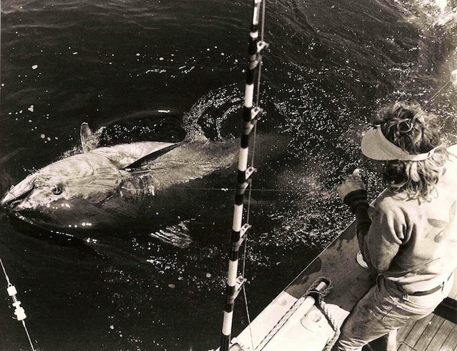 Discovered! Classic Giant Bluefin Photo