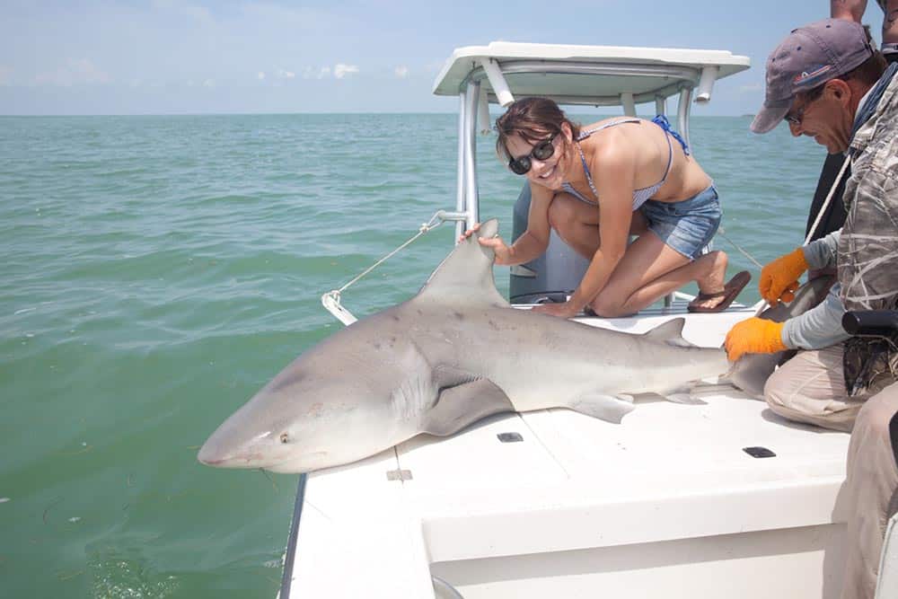 Shark fishing on the flats in Florida Bay