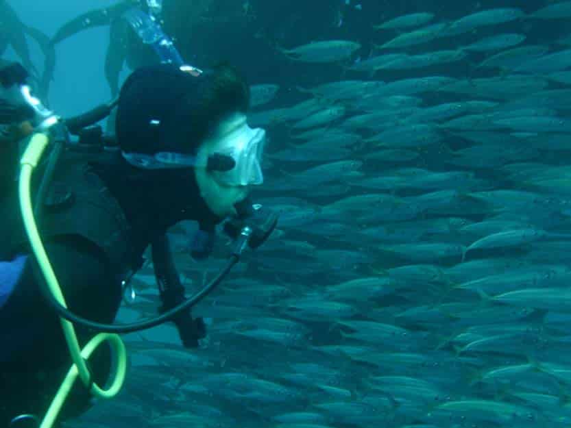 diving in the Channel Islands