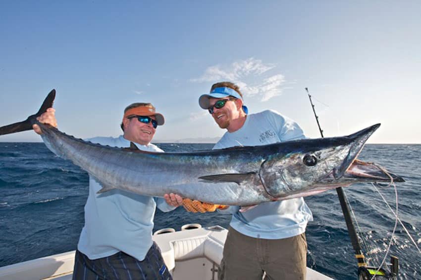 a nice wahoo taken off cabo san lucas.jpg