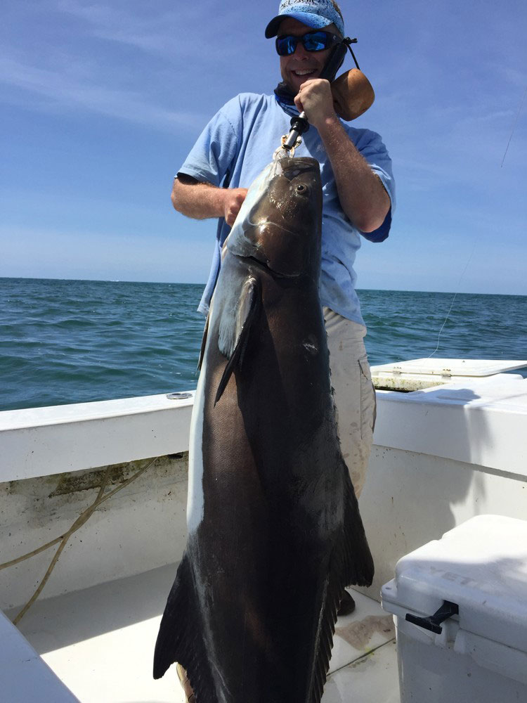 Sight-Fishing Cobia off North Carolina